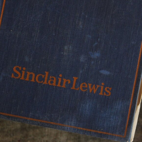 Vintage 1920s Book, "Babbitt" by Sinclair Lewis, 1922, Possible First Edition - Picture 3 of 10